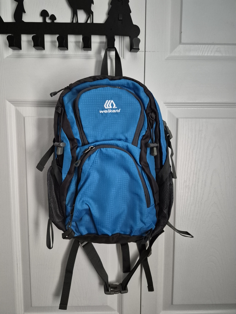 Blue Everyday Backpack with Multiple Compartments